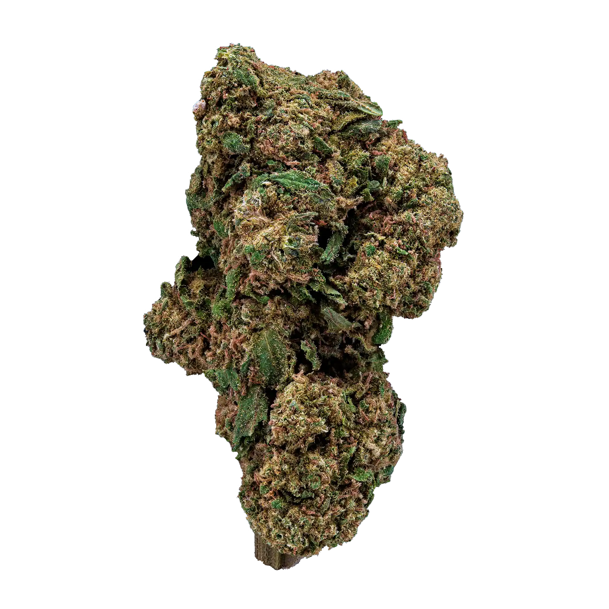 Cannatonic 10-OH-HHC