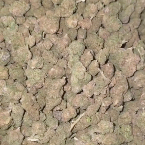 AK-47